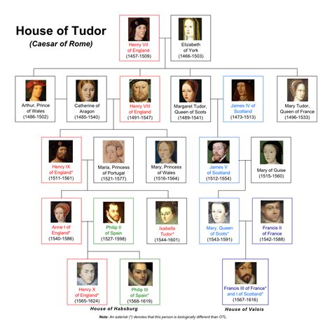 tudor valentin|the house of tudor facts.